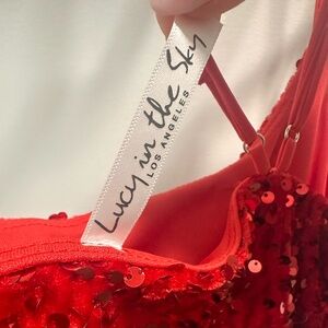 Lucy in the Sky Briar Sequin Bodycon Dress in Red